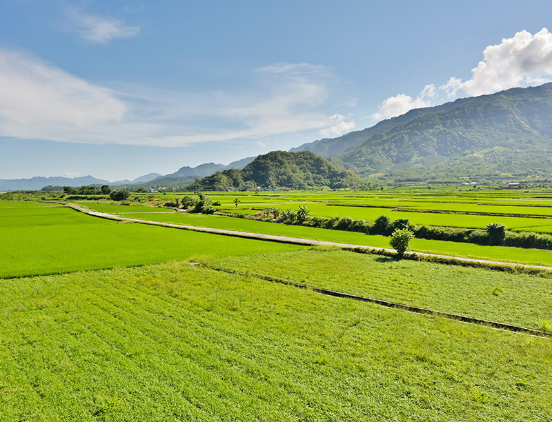 企業(yè)愿景